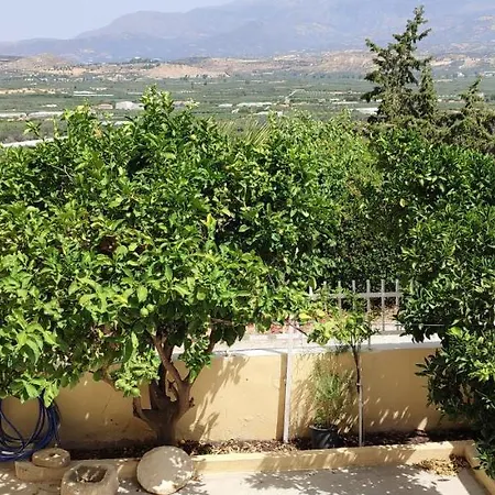 Serenity Courtyard Village Kouses